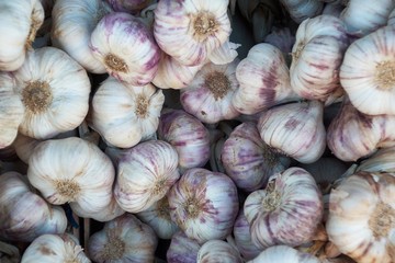 Garlic  bulbs