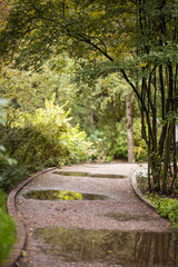 Beautiful park after rain