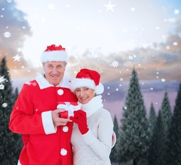 Composite image of festive mature couple holding gift
