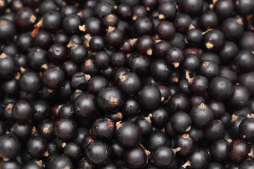 Black currants