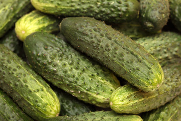 Cucumbers