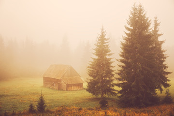 Cabin on the field