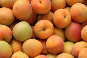 Apricots