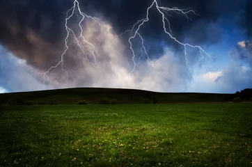 Fotobehang Thunderstorm with lightning in green meadow © klagyivik