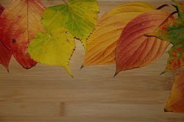 Bunte Herbstblätter auf Holz mit Textfreiraum