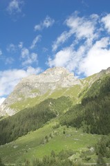 Fototapeta premium les alpages dans la vanoise