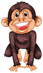 Fototapeta premium Chimpanzee
