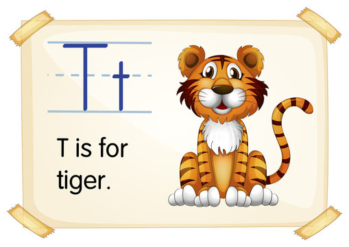 Letter T