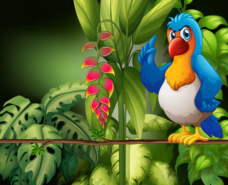Parrot