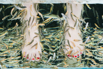 Fish spa pedicure wellness skin care treatment with the fish ruf