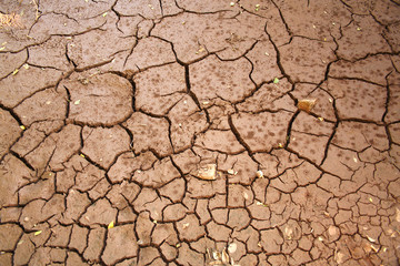 parched river bed three