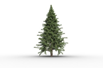 Fototapeta premium Digitally generated green fir tree