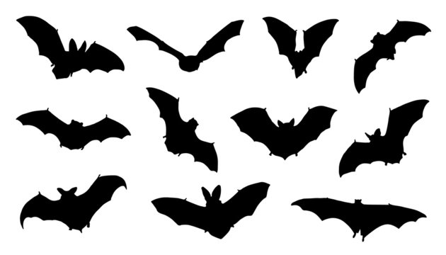 bat silhouettes