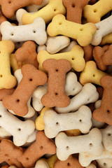Mixed dog biscuits