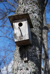Bird house