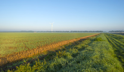 Tracks along a field at sunrise in summer