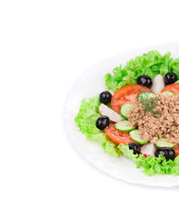Close up of tuna salad.