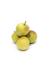 pear on the white background