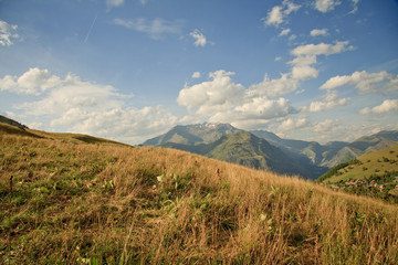 Summer in the mountains