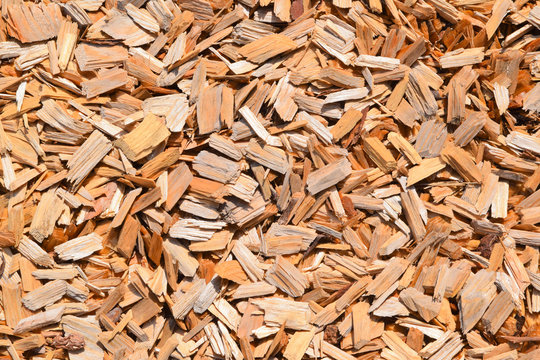 Holzschnitzel0309a