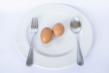 egg meal