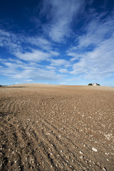 agricultural landscape