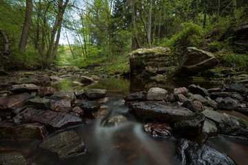 Bachlauf in der Eifel Hohes Venn