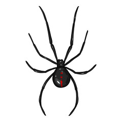 Vector Cartoon Black Widow Spider