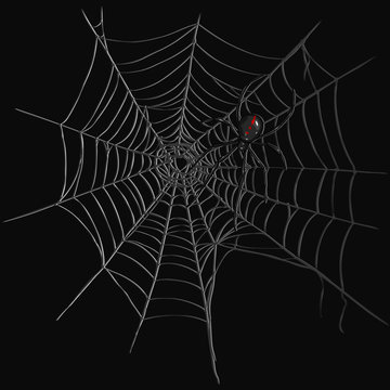 Vector Black Widow Spider on Spider's Web