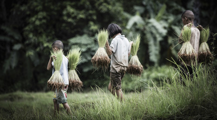 Little boy and girl farmer on green fields © Sasint