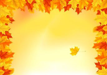 Naklejka na ściany i meble Hintergrund Herbst - bunte Blätter