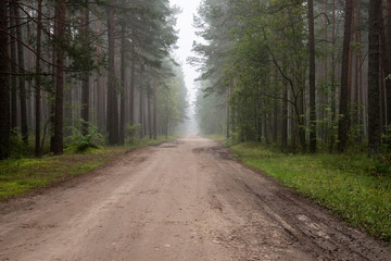 Naklejka premium misty country road in the early morning