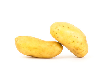 Potato