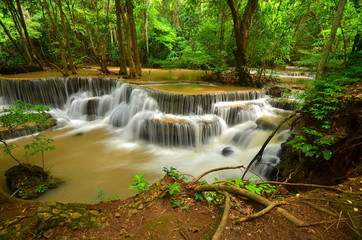 Fototapeta na wymiar Waterfall in Green Forests