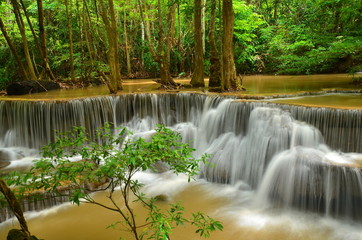 Tropical Rain Forest Waterfalls