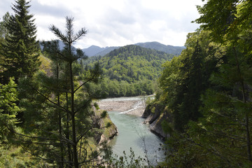 mountain river Laba in the Caucasus