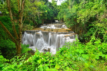 Tropical Rain Forest Waterfalls
