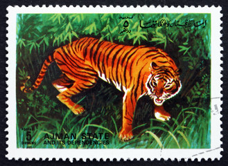 Postage stamp Ajman 1972 Tiger, Pantera Tigris, Animal
