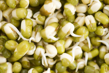 Sprouted mung beans