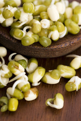 Sprouted mung beans