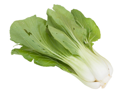 Fresh Chinese Vegetable cabbage on white background