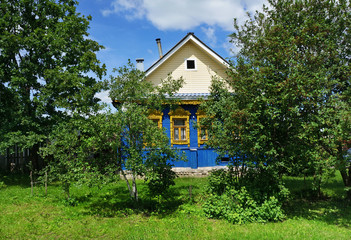 Summer nature,  country house
