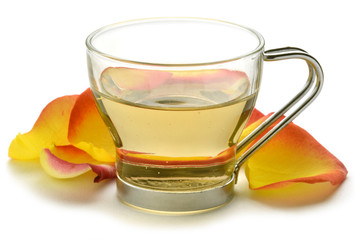 Rossläktet Rosa Rose Rosen Rosier Róża Шиповник Gül © Comugnero Silvana