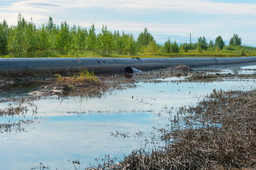 Spilled oil around the oil pipeline