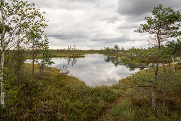 swamp view with lakes and footpath