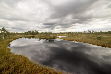 Fototapeta na wymiar swamp view with lakes and footpath