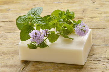 Mentha Mynte Menta Menthe Mint Minzen Mięta Мята נענע © Comugnero Silvana