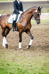 Reitsport, Vorbereitung auf Reitturnier