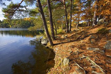 Krajobraz wiejski, jesień nad jeziorem