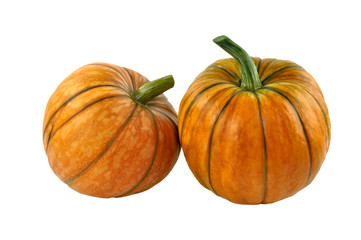 Pumpkin on a white background